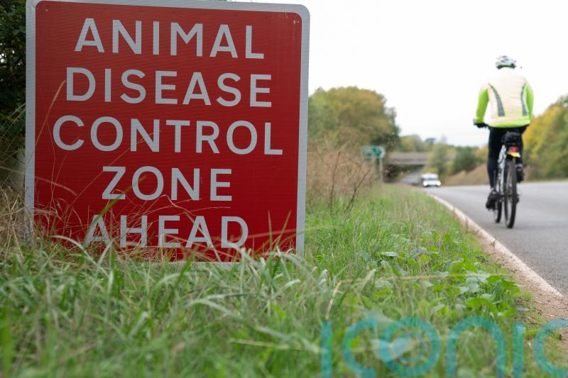 Another suspected case of avian flu found in commercial flock in Co Tyrone