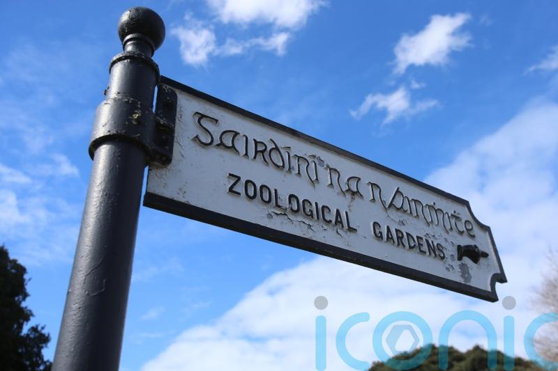 Dublin Zoo ‘vehemently disputes’ staff harassment and animal welfare claims
