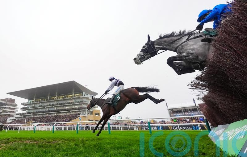 July Flower in full bloom for De Bromhead at Cheltenham