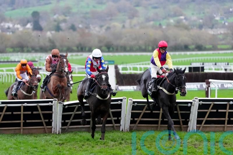 Tizzard hails ‘proper performance’ from Alexei in Greatwood Hurdle