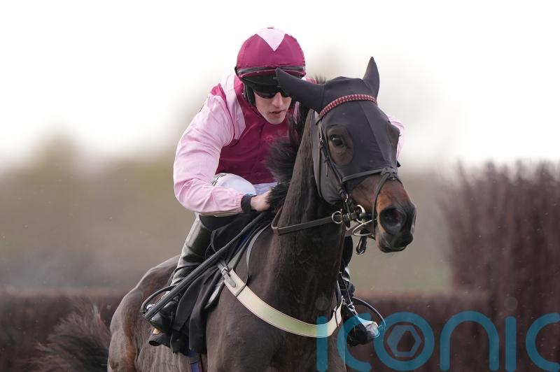 Excelero performance delights Jane Williams