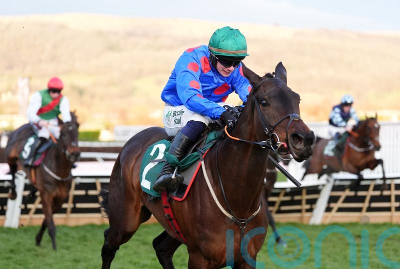 Wodhooh and company promise to make Ascot Hurdle informative