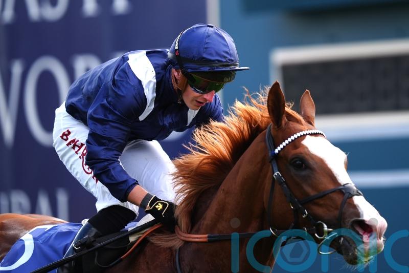 Economics to stand as a stallion in India