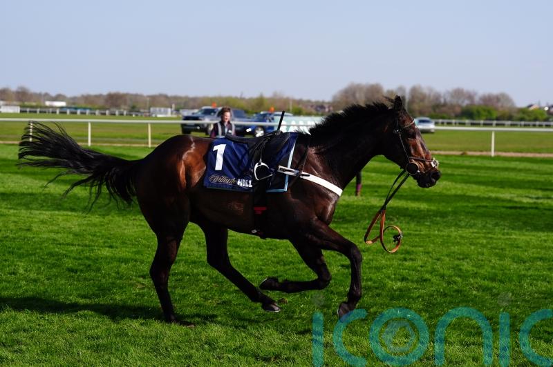 Henderson considering Flat run after Constitution Hill crashes out at Newcastle