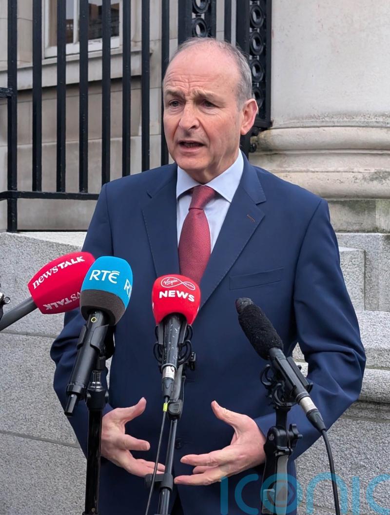 Micheal Martin says ‘divisive’ proposal to rename Herzog Park must be withdrawn