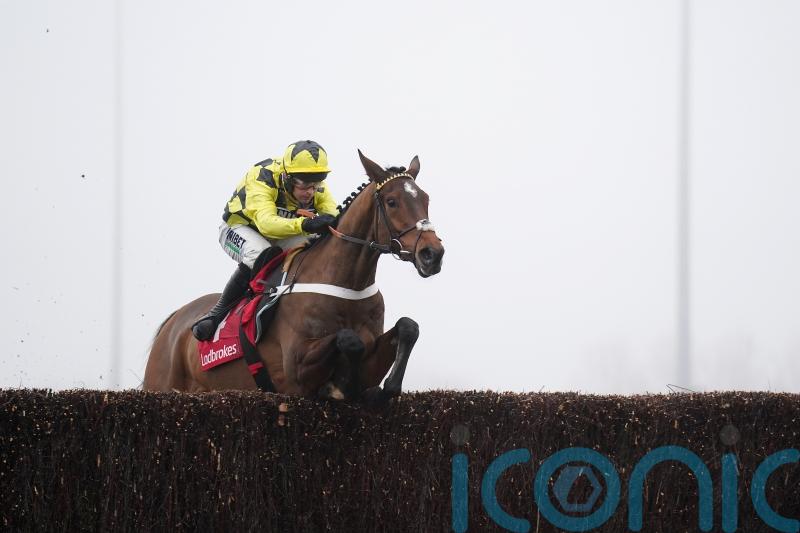 Christmas Hurdle has crossed our minds for Sir Gino, admits Henderson