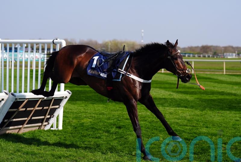 British Horseracing Authority confident in benefits of padded hurdles