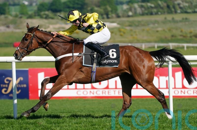 McGrath backing Lulamba to reign in Henry VIII Chase