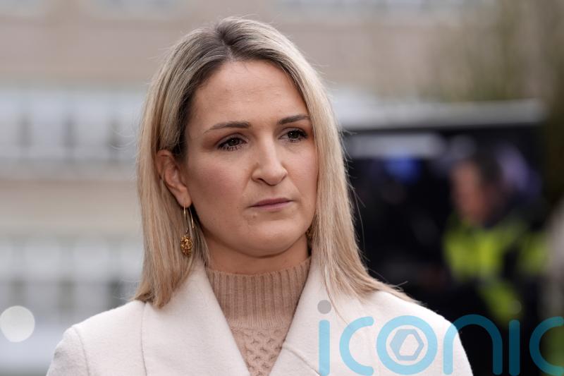 Anti-drone technology will be in place by next summer – Helen McEntee