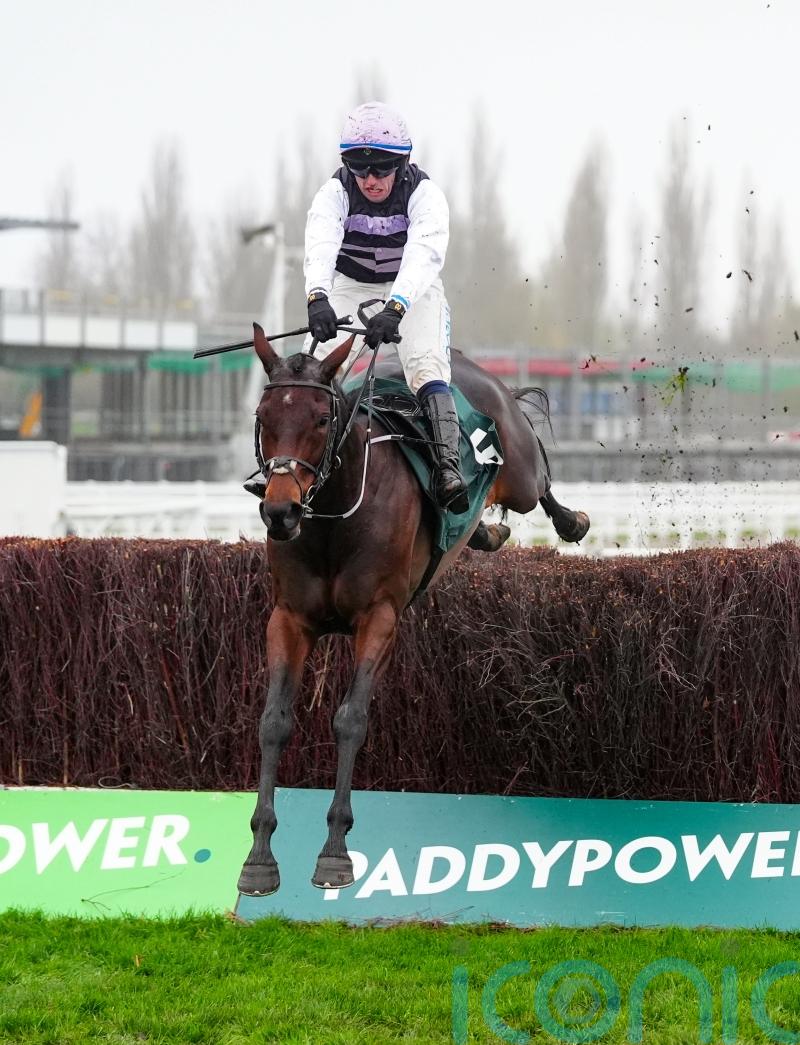 July Flower aiming to bloom at Leopardstown