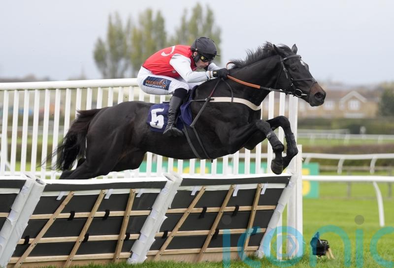 Nicol to continue Study’s education at Cheltenham