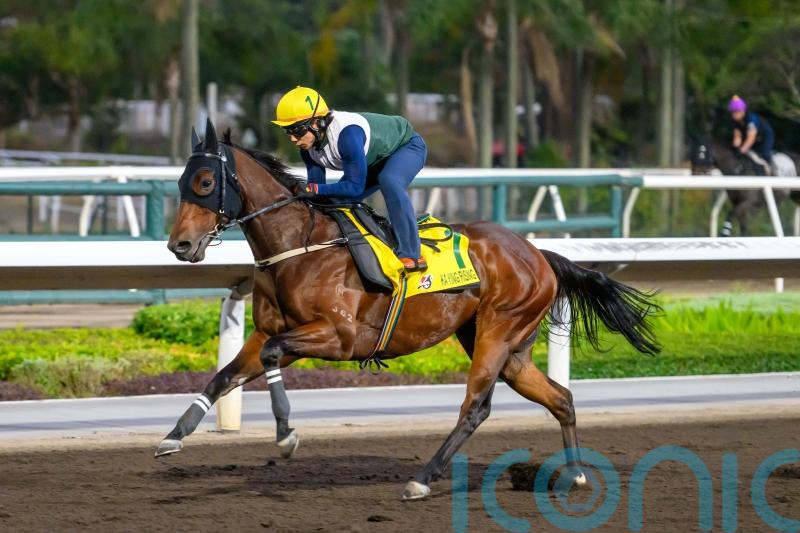 Low draw not expected to hamper formidable Ka Ying Rising