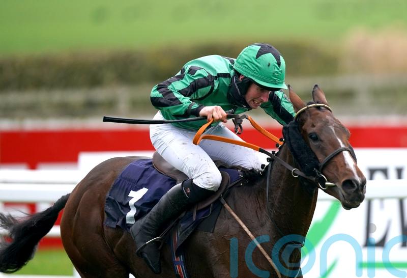 Shark sights set on Cheltenham with Hewick