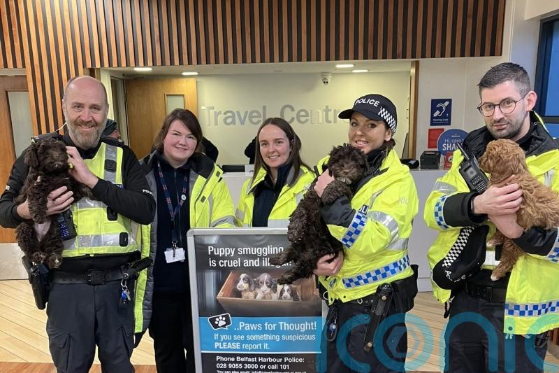 Minister urges &lsquo;paws&rsquo; for thought before purchasing a pet for Christmas