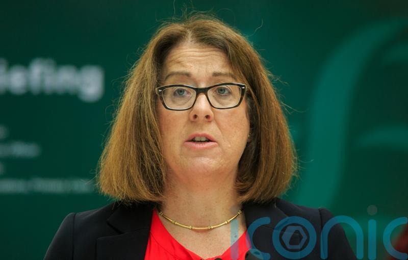 Anne O&rsquo;Connor appointed as next HSE chief
