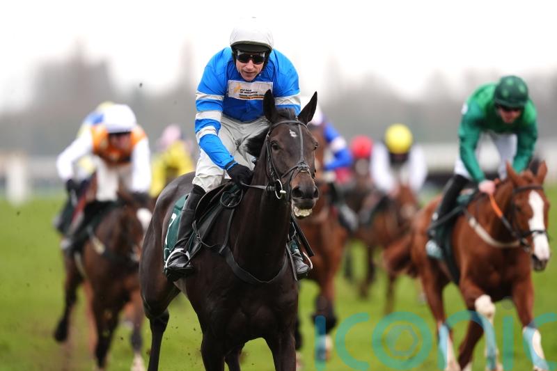 Skelton convinced Kadastral will make his name over fences