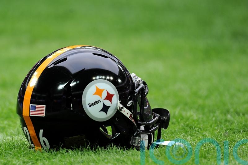 Pittsburgh Steelers wide receiver DK Metcalf appears to throw punch at fan