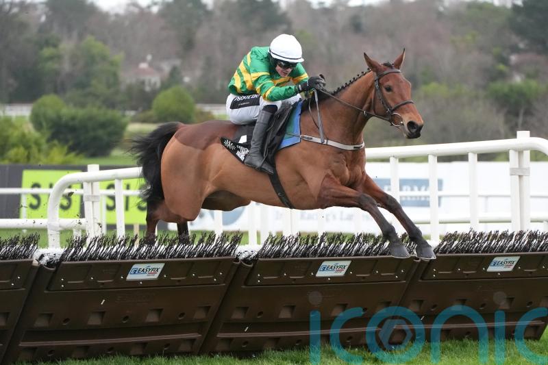 Narciso Has touch of class at Leopardstown