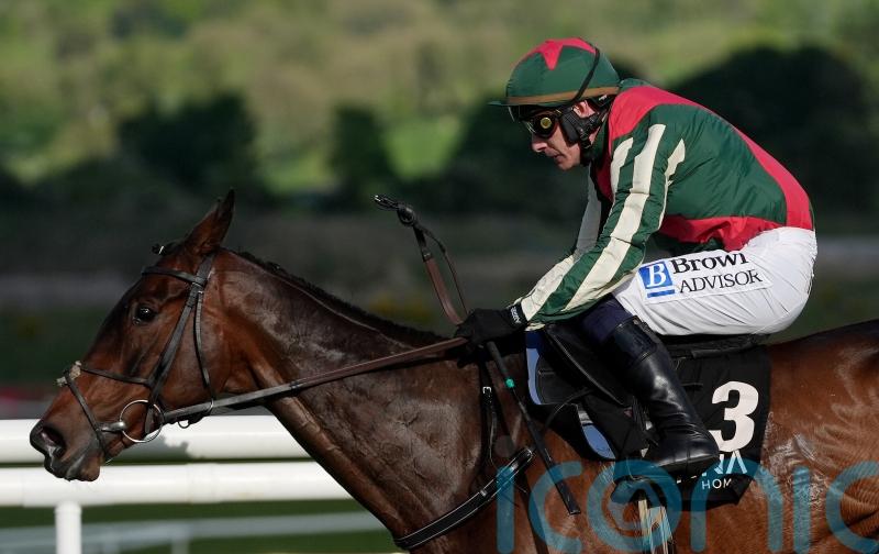 Final Demand scoops Grade One glory at Limerick