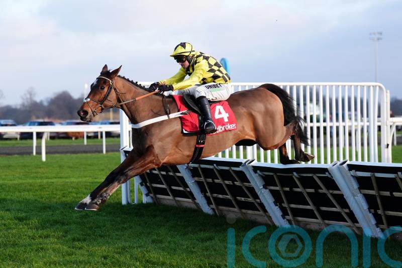 Henderson confirms Sir Gino for Champion Hurdle tilt