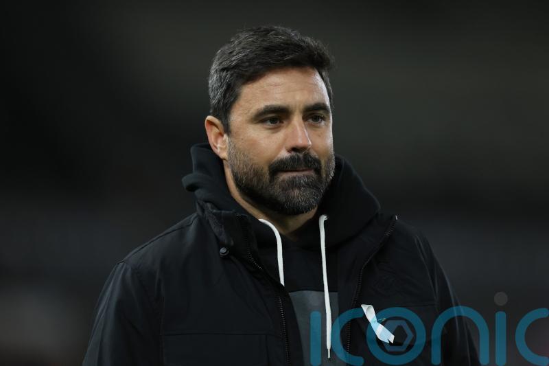 Vitor Matos: There is more to come from Swansea striker Zan Vipotnik