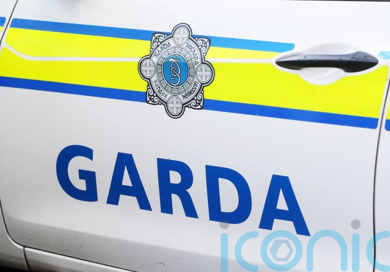Woman in hospital after reported dog attack in Co Carlow