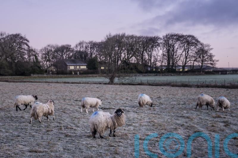 Snow warnings upgraded to amber in wintry start to new year