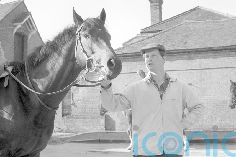 Mill Reef leads the way among Balding&rsquo;s star performers