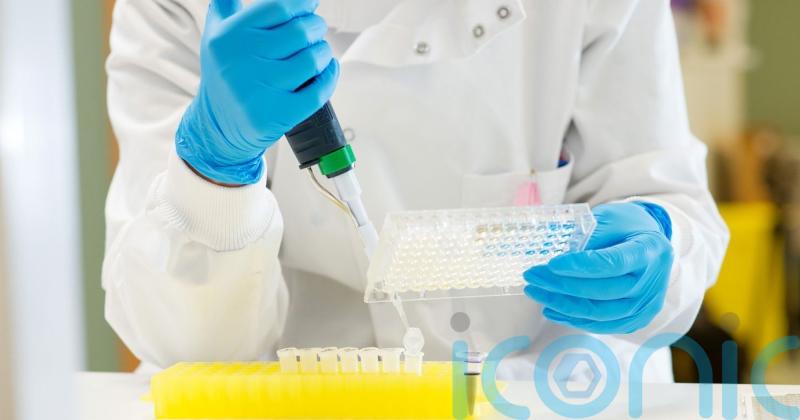 New study by Queen&rsquo;s University to tackle treatment-resistant cancer