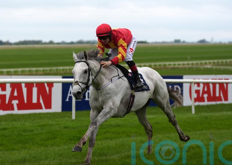 White Birch will be geared towards Royal Ascot by new connections