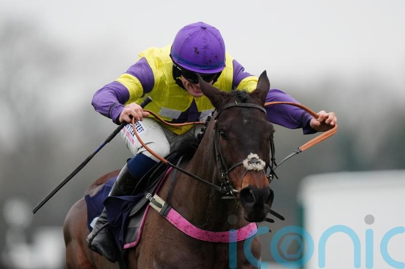 Nemean Lion raring to go for Windsor defence