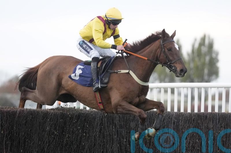 Konfusion and Myretown putting Gold Cup dreams on the line