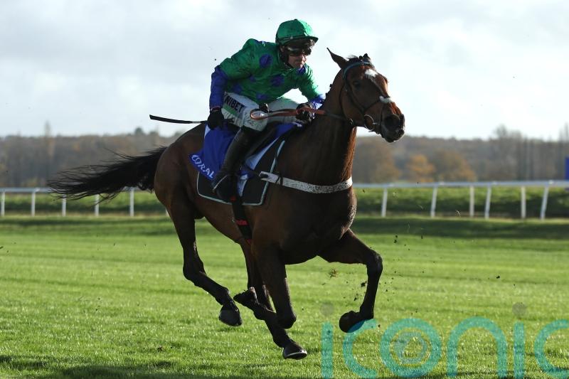 Act Of Innocence poised for Trials day test