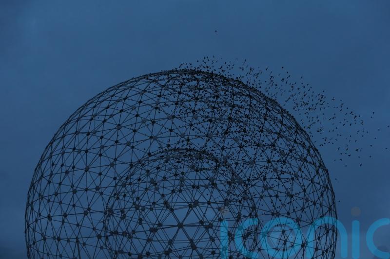 Young people throwing debris at vehicles near Broadway Roundabout
