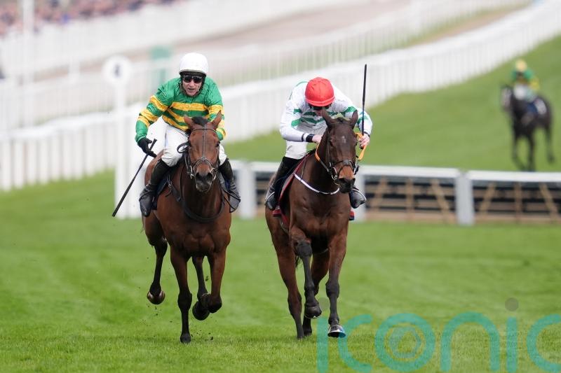 The New Lion team counting down to &lsquo;cracking&rsquo; Cheltenham feature