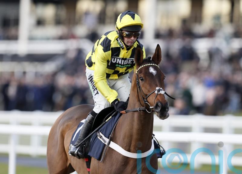 Sir Gino able to walk onto horse ambulance after being pulled up at Cheltenham