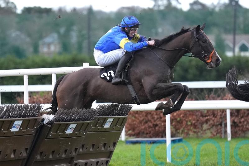 Saint Le Fort strikes in valuable Leopardstown handicap hurdle