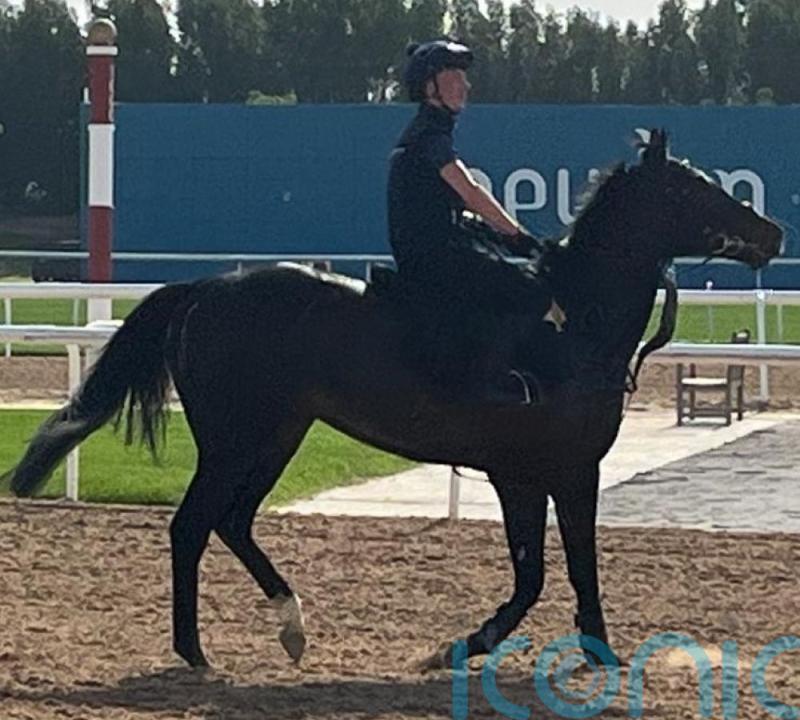 Comanche Brave tuning up nicely for Abu Dhabi tilt