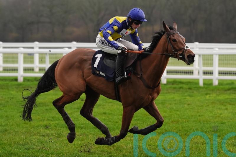 Tutti Quanti looks a class above and has Nicholls dreaming big