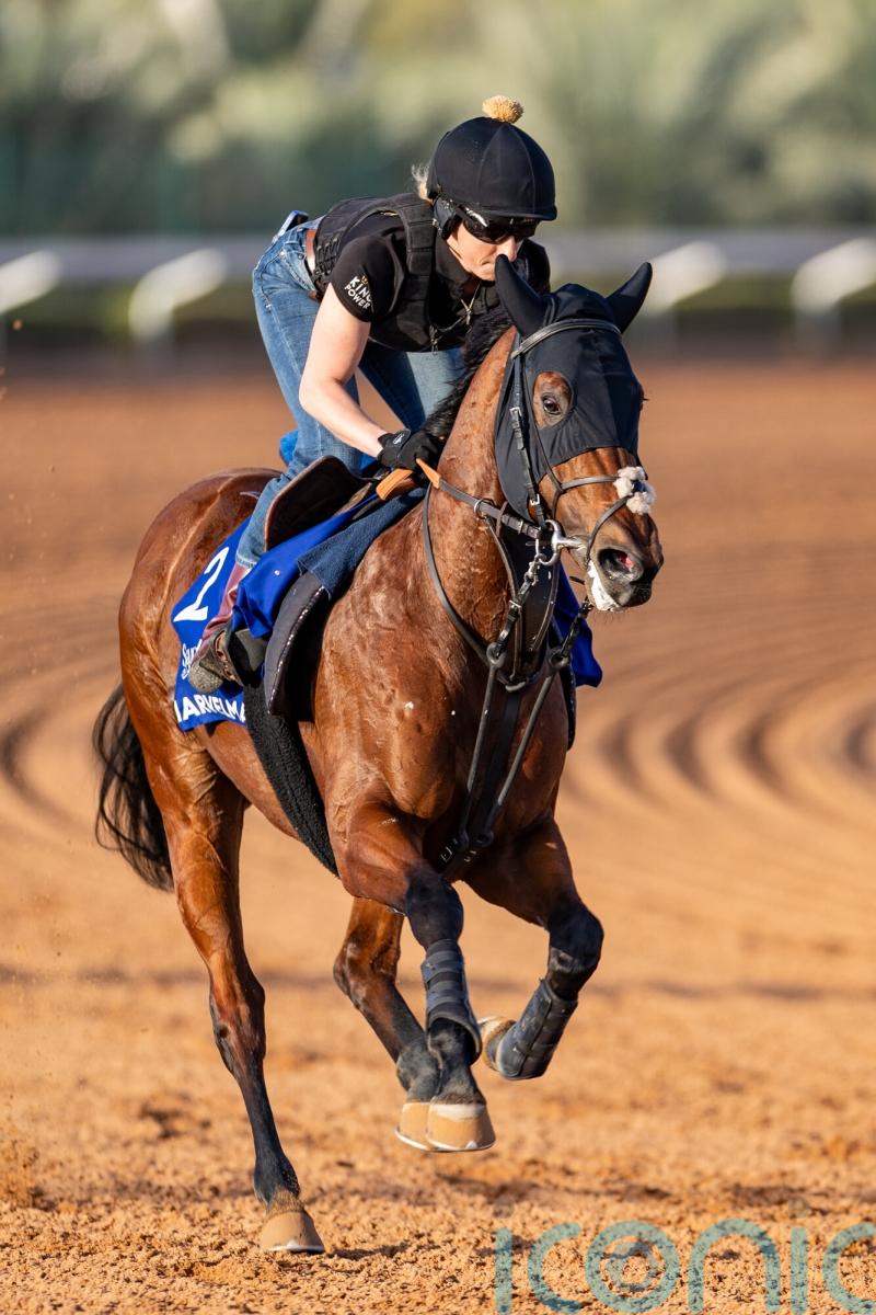 Marvelman leads European challenge for 1351 Turf Sprint in Riyadh