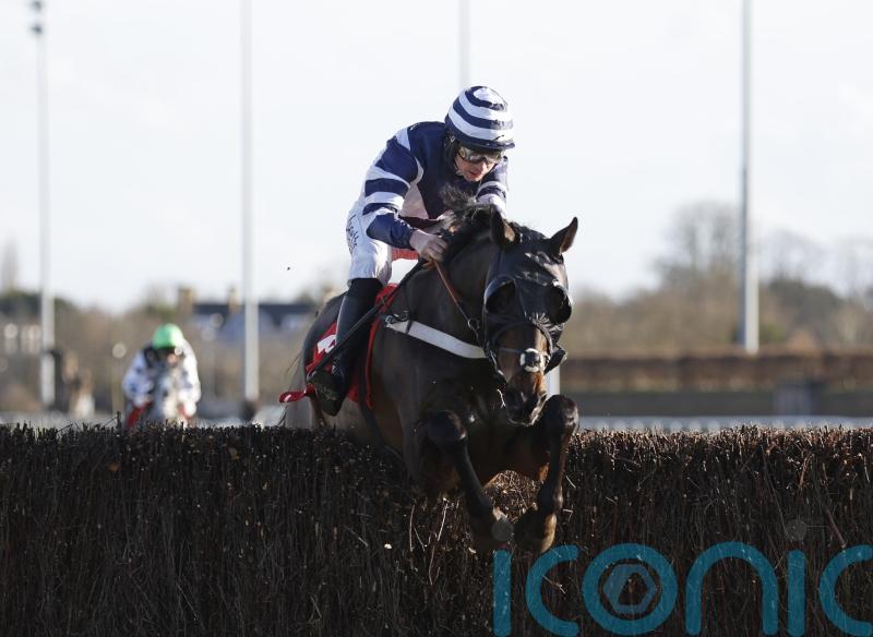 Reigning champion Katate Dori heads Ladbrokes Trophy field