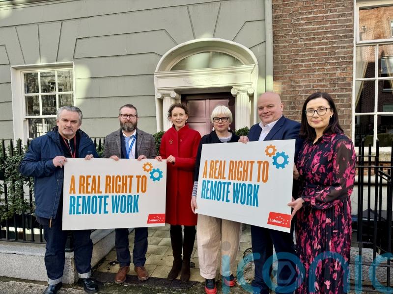 &lsquo;State needs to lead&rsquo; on right to work remotely &ndash; Labour TD