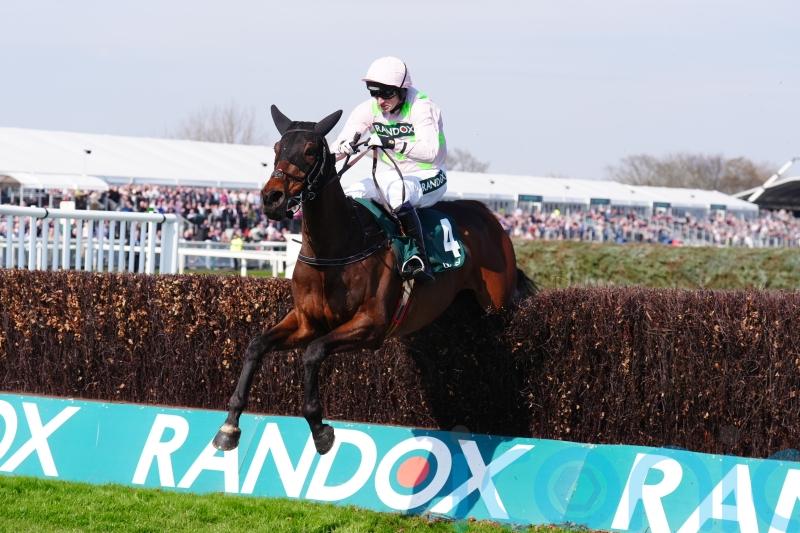 I&rsquo;d love to ride Gaelic Warrior in the Gold Cup, says Patrick Mullins