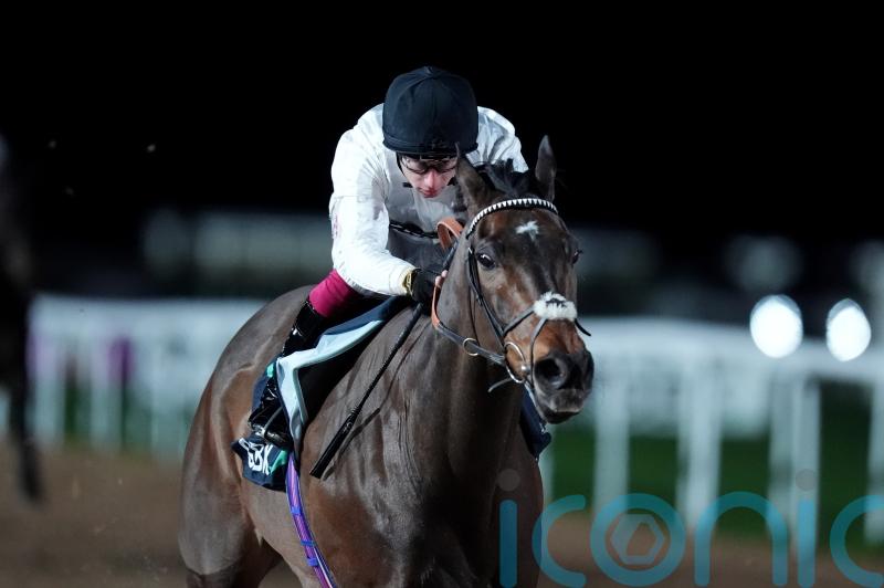 &lsquo;Machine&rsquo; Constitution Hill wows on Flat debut at Southwell