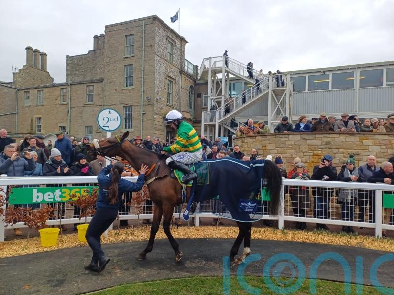 Iroko and Protektorat the star turns among Kelso entries