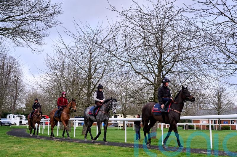 Nicholls not envying Henderson call, as he readies Tutti Quanti for Cheltenham