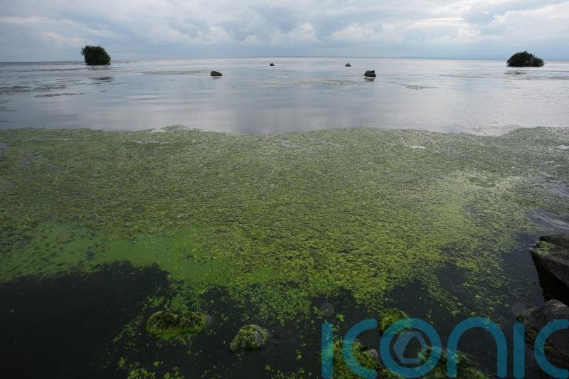 Environment Minister seeks approval to end NI Water &lsquo;licence to pollute&rsquo;