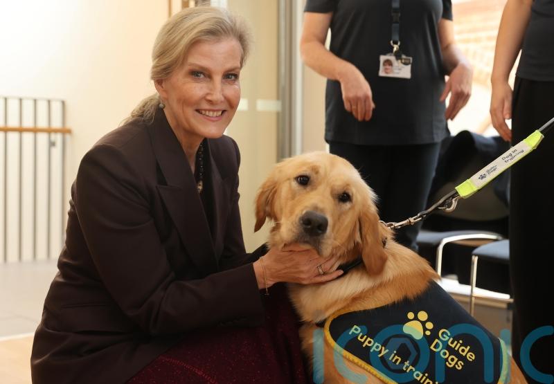 Duchess of Edinburgh celebrates 40 years of Guide Dogs for the Blind in NI