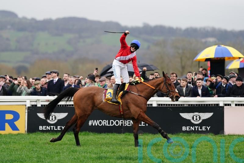 Envoi Allen ready for Cheltenham Gold Cup swansong