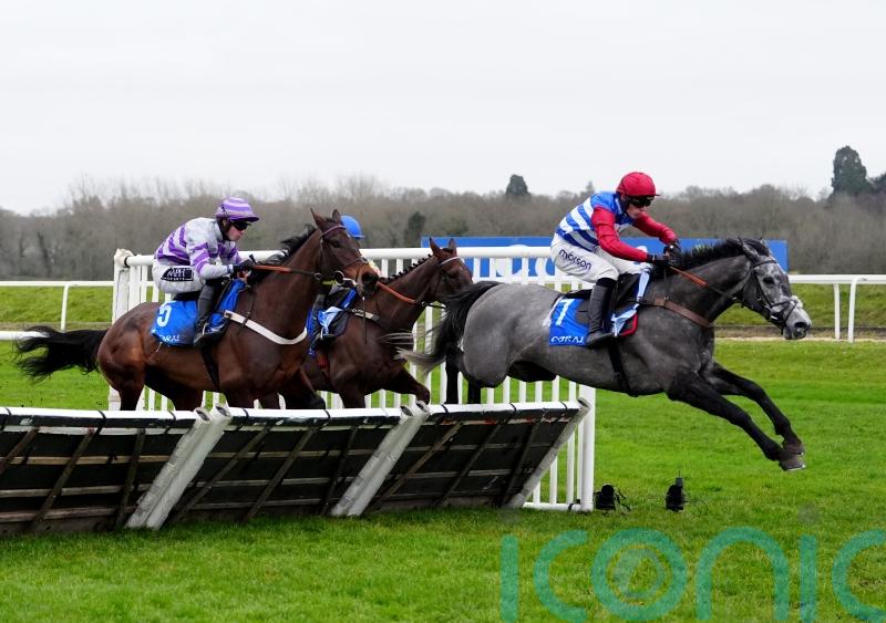 Nicholls will be more than happy to see No Drama at all on day two